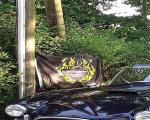 images/Fotos/2015/sommerfest THCG/sommerfest22.jpg